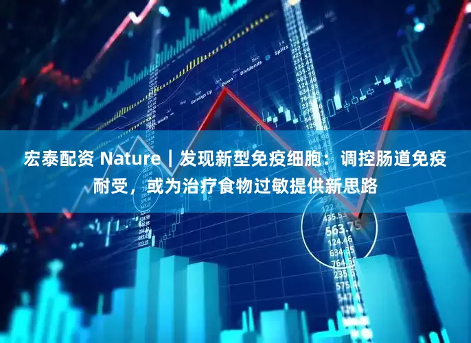 宏泰配资 Nature｜发现新型免疫细胞：调控肠道免疫耐受，或为治疗食物过敏提供新思路