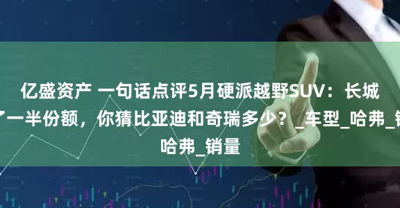 亿盛资产 一句话点评5月硬派越野SUV：长城占了一半份额，你猜比亚迪和奇瑞多少？_车型_哈弗_销量