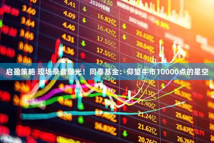 启盈策略 现场录音曝光！同泰基金：仰望牛市10000点的星空